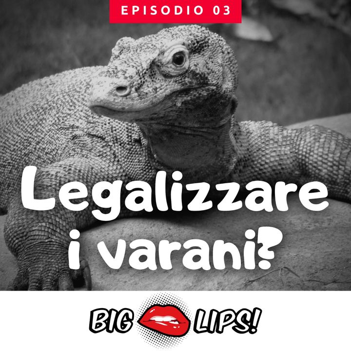 Animali esotici illegali: quali si possono tenere in Italia? [Big Lips Production]