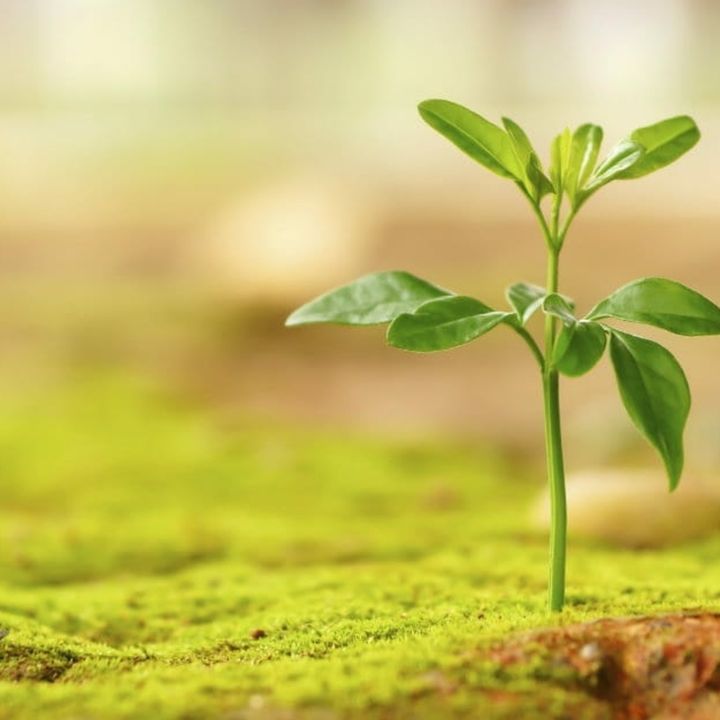 Episode 57: Don't be Stunted Spiritually