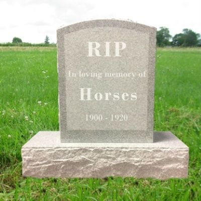 71: In Memoriam of Horses