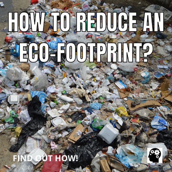 How To Reduce An Eco-Footprint?