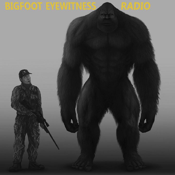 Bigfoot Eyewitness Episode 307 (That 5 Foot Stump Stood Up!)