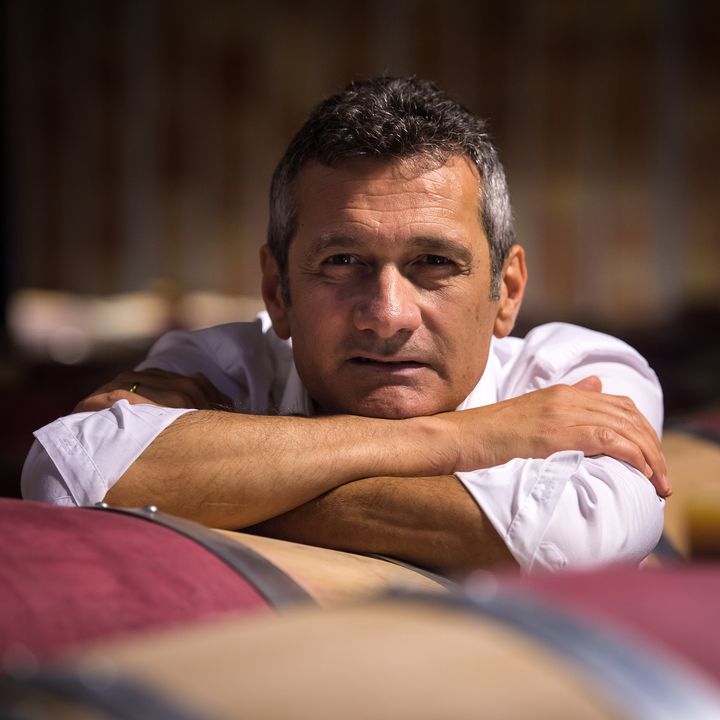 Michele Bernetti | Maestri del vino italiano
