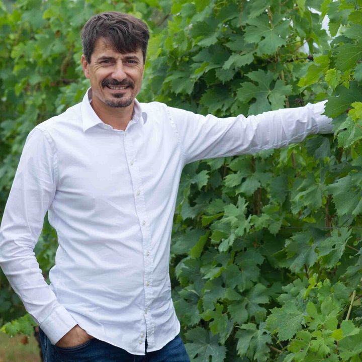 Pierangelo Tommasi | Maestri del vino italiano
