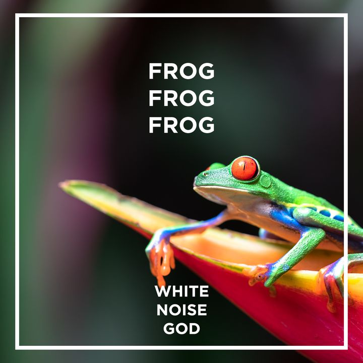 Frogs are Singing | White Noise | ASMR sounds for deep Sleep Better | Relax | Study | Work