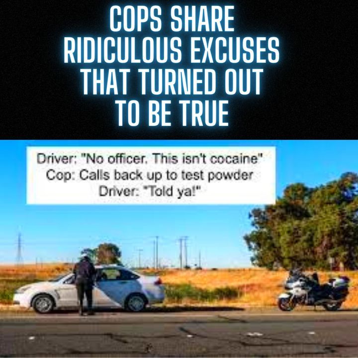Cops Share RIDICULOUS Excuses That TURNED Out To Be TRUE