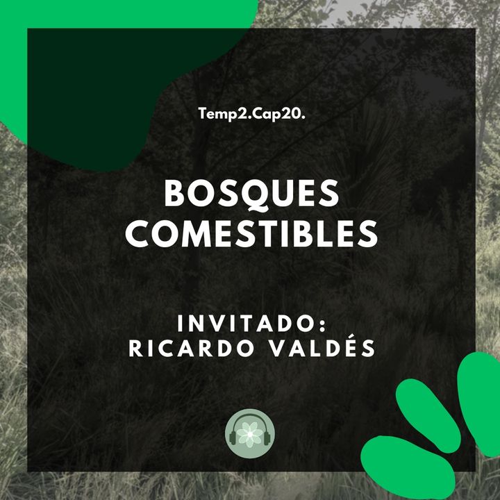 T2E20 - Bosques comestibles / Ricardo Valdés