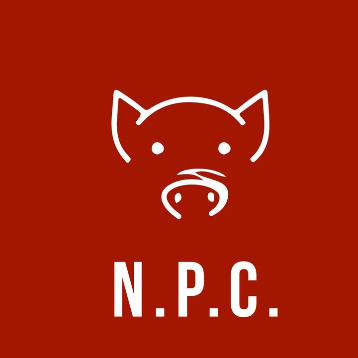 N.P.C. - episodio 2