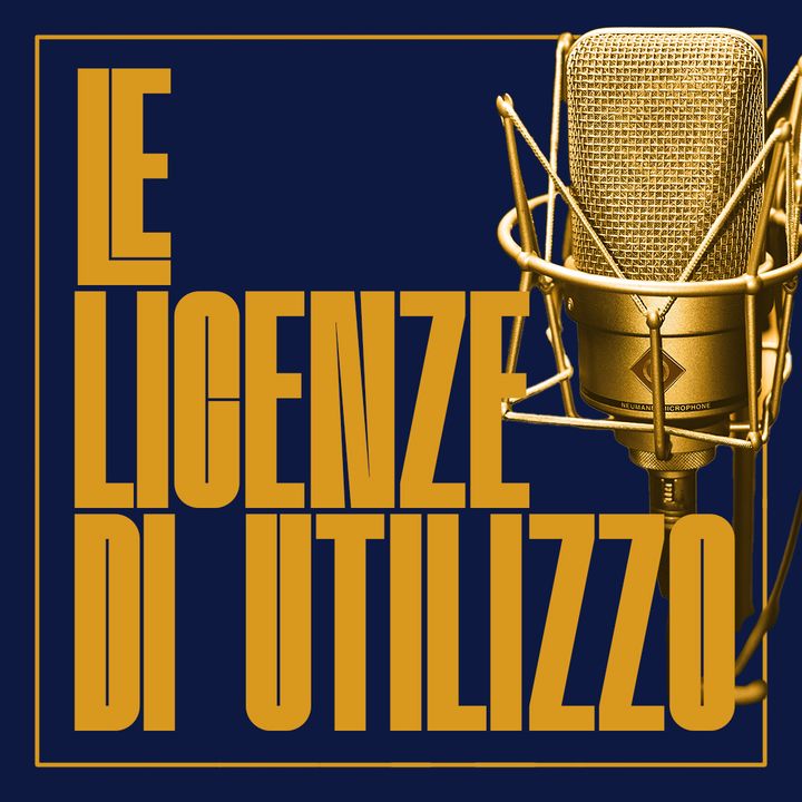 Le Licenze di Utilizzo (feat Simone Prandin head of SoundRights.net)