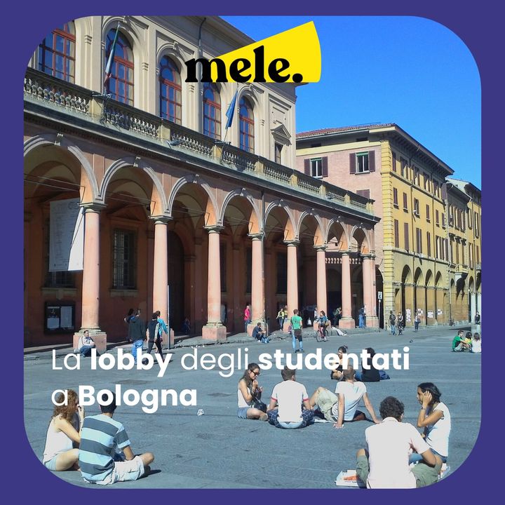 La lobby degli studentati a Bologna