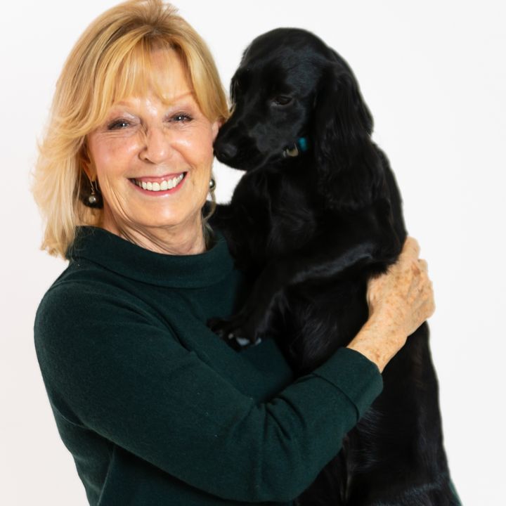 The World of Pet and House Sitting - Angela Laws on Big Blend Radio