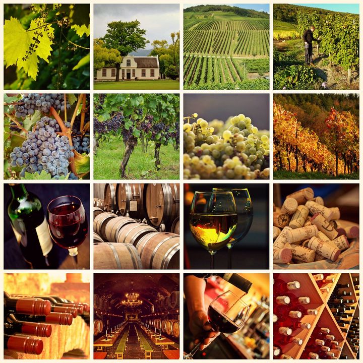 Wine Idea News