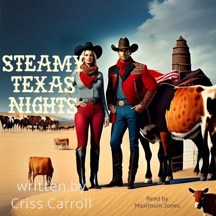 Steamy Texas Nights Story 3