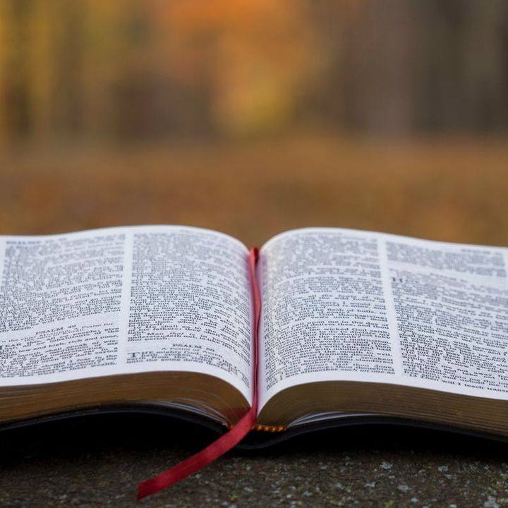 10 VERSICULOS BIBLICOS PARA TRAER PAZ Y CONFIANZA / rReflexiones Cristianas