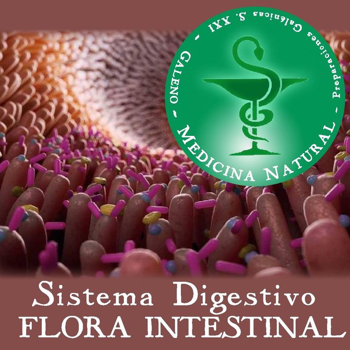 Sistema Digestivo - Flora Intestinal