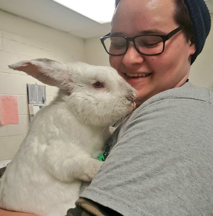 Rabbit, Saved From Brockton Streets, Looking For Home