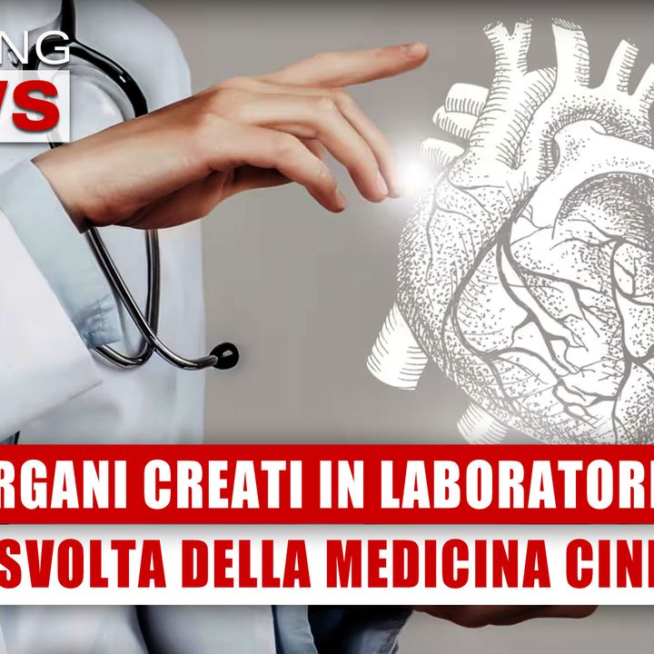 Organi Creati In Laboratorio: La Svolta Della Medicina Cinese! 