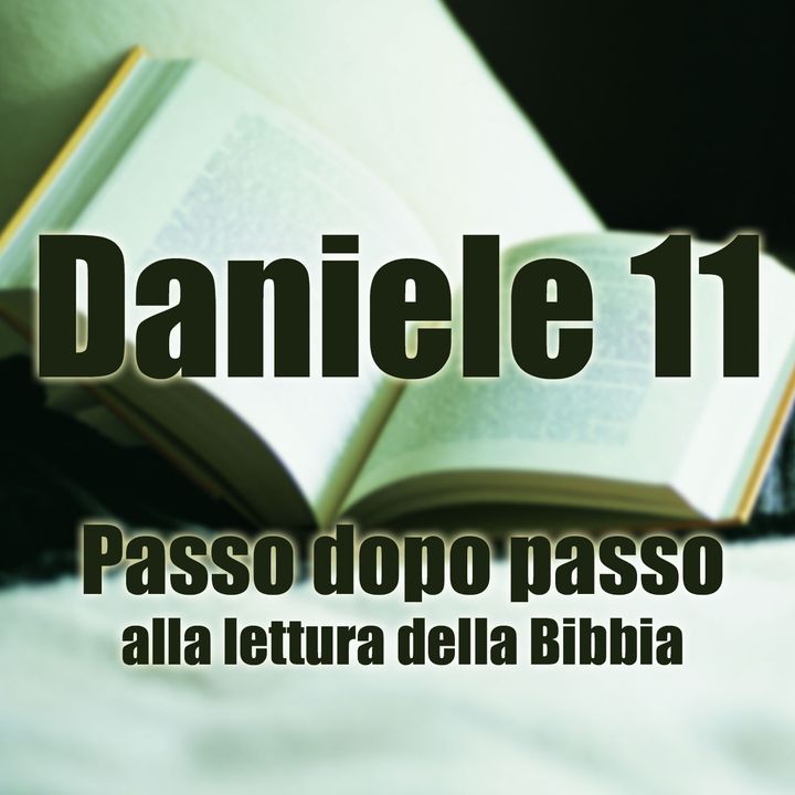Daniele capitolo 11