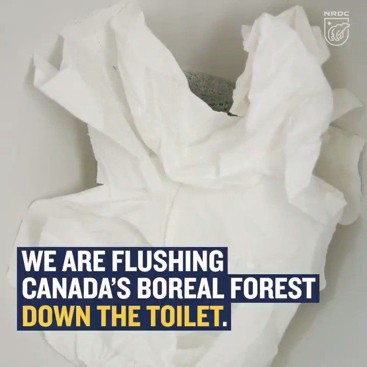 Flushing Our Forests Away