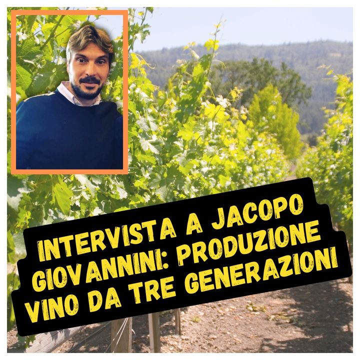 Intervista a Jacopo Giovannini: produzione vino da tre generazioni
