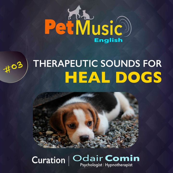 #03 Therapeutic Sounds for Healing Dogs | PetMusic