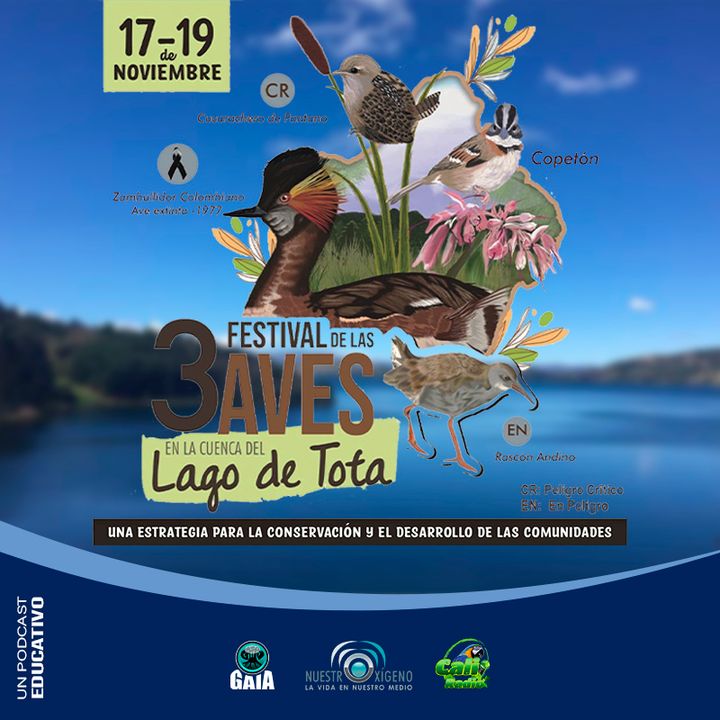 NUESTRO OXÍGENO Festival de aves lago de tota una estrategia para la conservación y el desarrollo de las comunidades – Paola Suarez