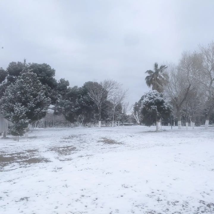 Buenos deseos
