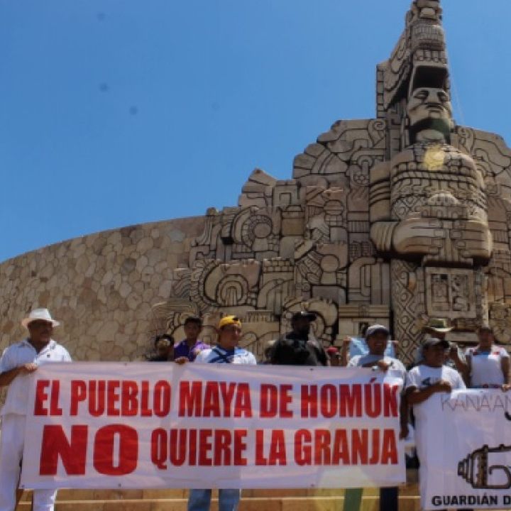 Los pueblos mayas de Kinchil, Celestún y San Fernando, piden el apoyo del Gobierno