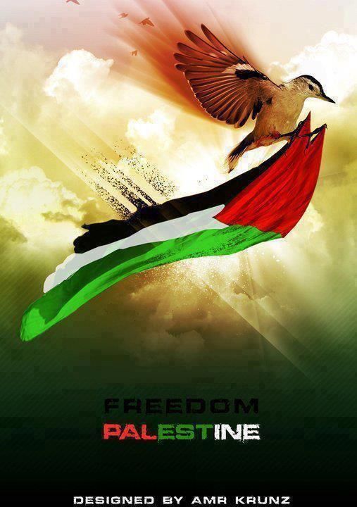 Finkelstein - Discussing Palestine the Gaza Strip