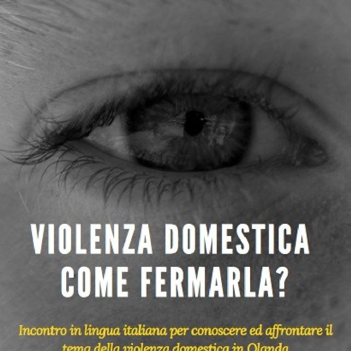 Conferenza Violenza Domestica