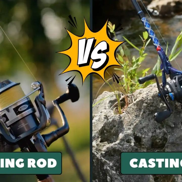Understanding the Distinctions: Casting Rod vs Spinning Rod