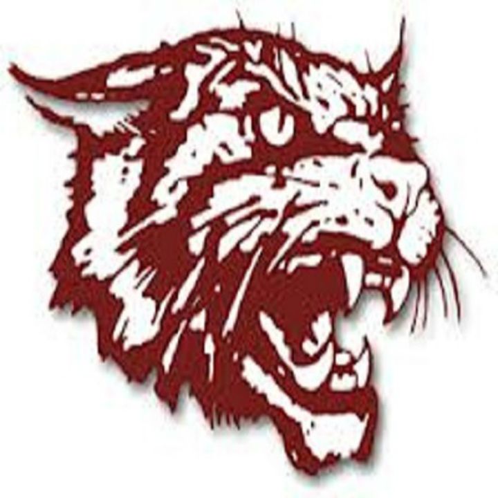 Littlefield High School Sports