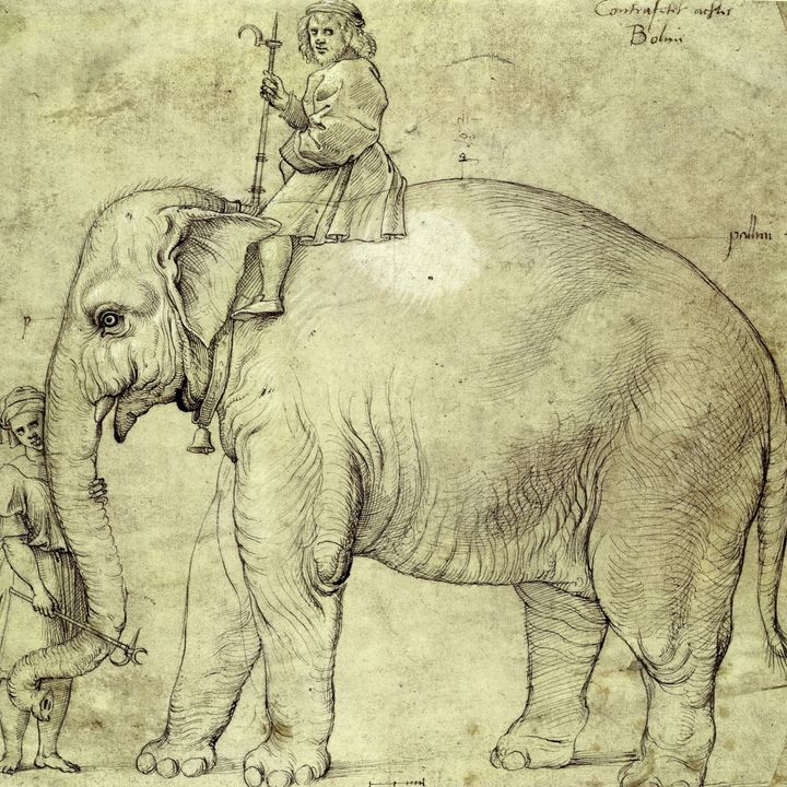 La posesión de animales como símbolo de poder en la Edad Media