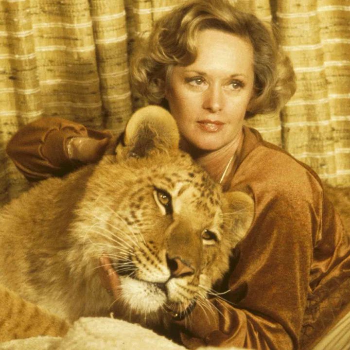 1263. Actress Tippi Hedren Talks About The Lions, Tigers And Ligers That Share Her Home.