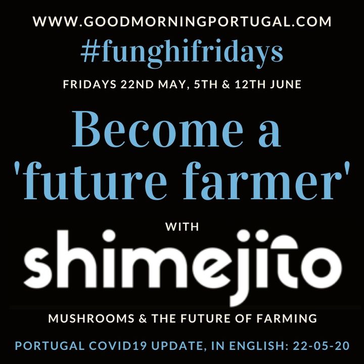 Portugal Covid news & weather update PLUS 'Sustainable Food Farming'