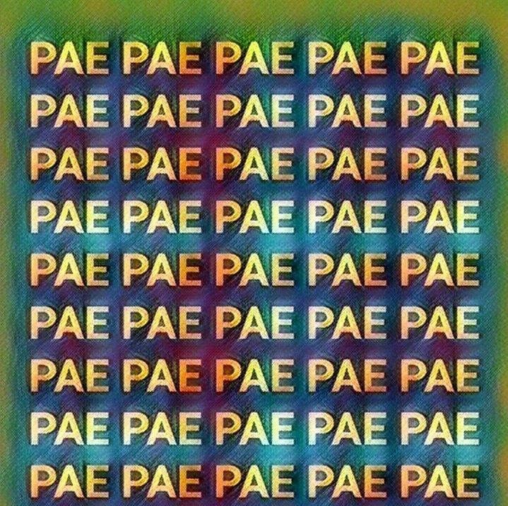 PAE: Podcast About Everything