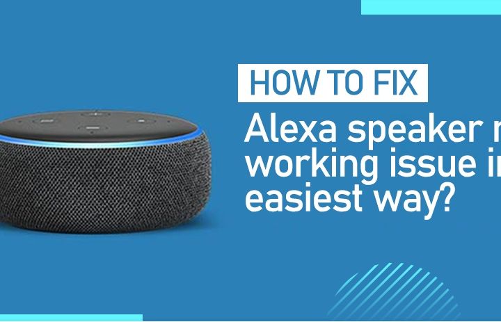 How to Fix Echo Dot Speaker Not Working