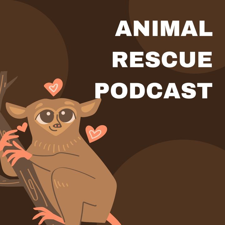 Animal Rescue Podcast
