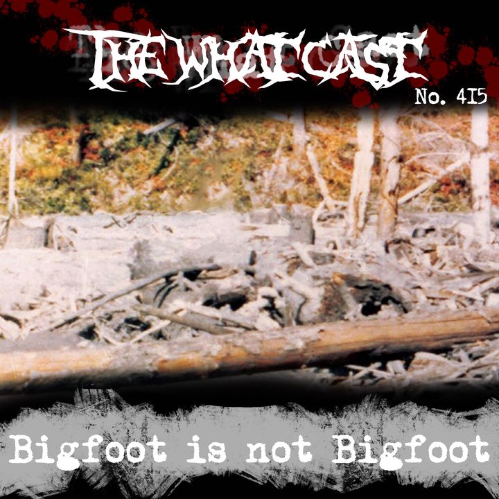The What Cast #415 - Bigfoot Is Not Bigfoot
