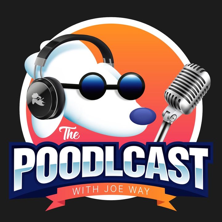 003: Flying Solo with Joe's Top 10 Best $POODL Moments