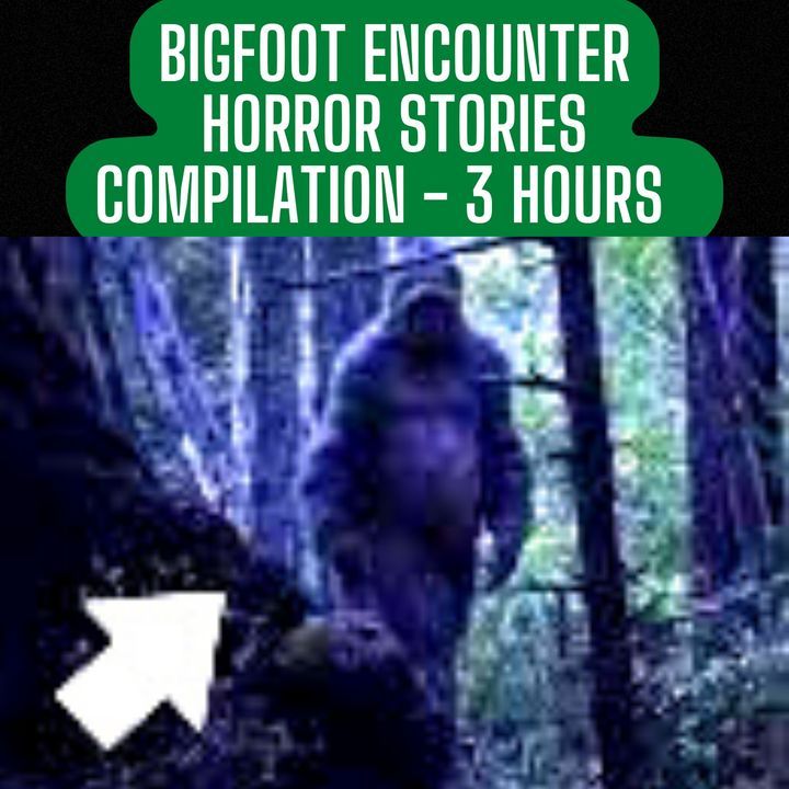 REAL BIGFOOT ENCOUNTER HORROR STORIES COMPILATION - 3 HOURS