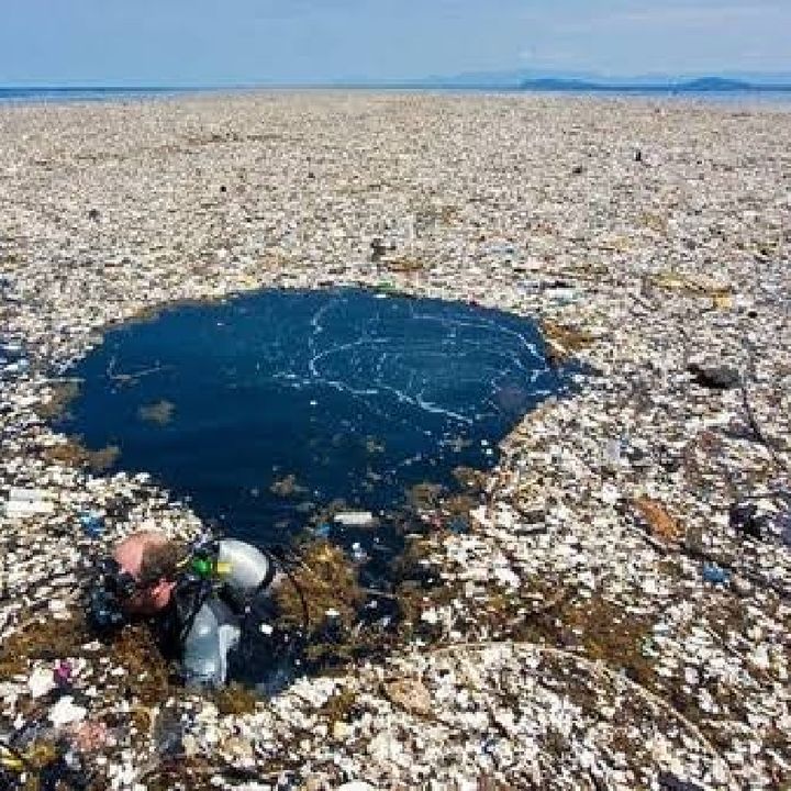 La Contaminación De Los Mares, Ríos Y Oceanos