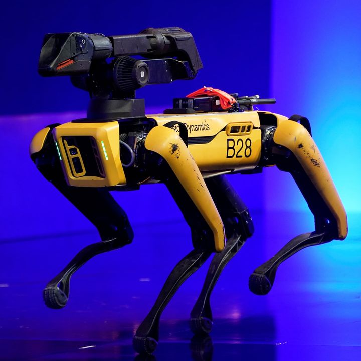 cane robot adesso parla - 11:05:23, 21