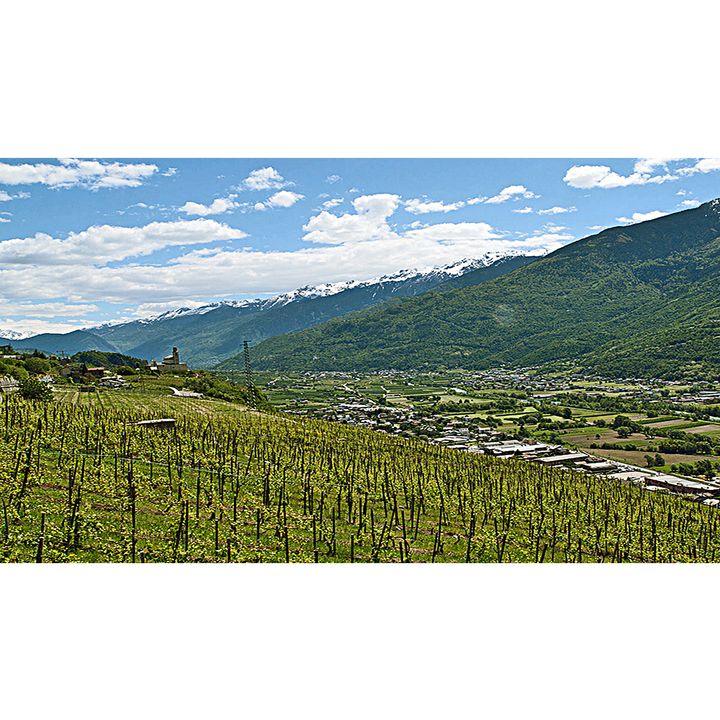 La Valtellina: da Morbegno a Sondrio (Lombardia)
