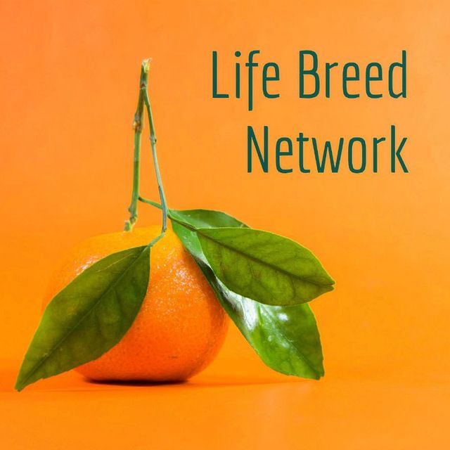 The Life Breed Network