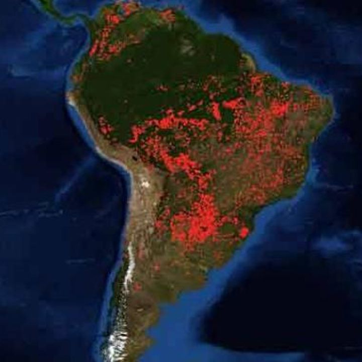 Amazonía debe ser protegida: ONU