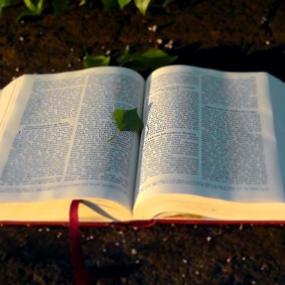 Episode 710 - Jarvis Kingston : The Book Of 1 Esdras Chapters 1-4 Reading | Lost Books Of The Bible | Apocrypha | Shalom Family | Prayers Up