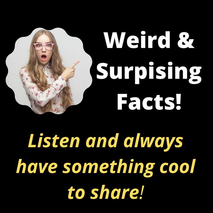 Weird and Surprising Facts