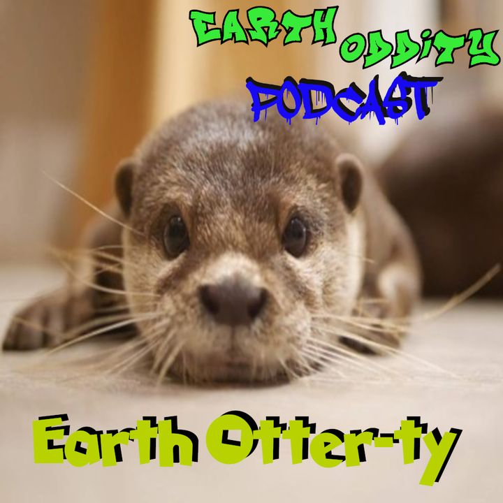 Earth Oddity 102: Earth Otter-ty