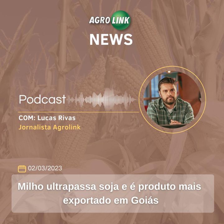 Exportações de milho em Goiás aumentam mais de 170%