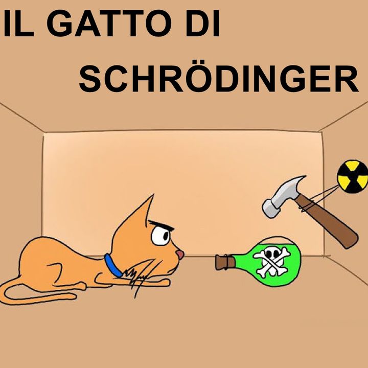 014 Il gatto di Schrödinger
